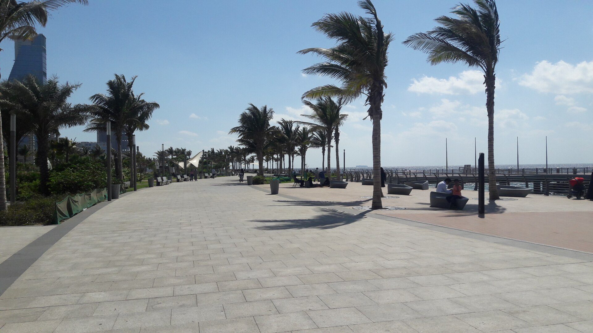 The Jeddah Corniche waterfront promenade on the Red Sea, lined with palm trees under a clear sky.