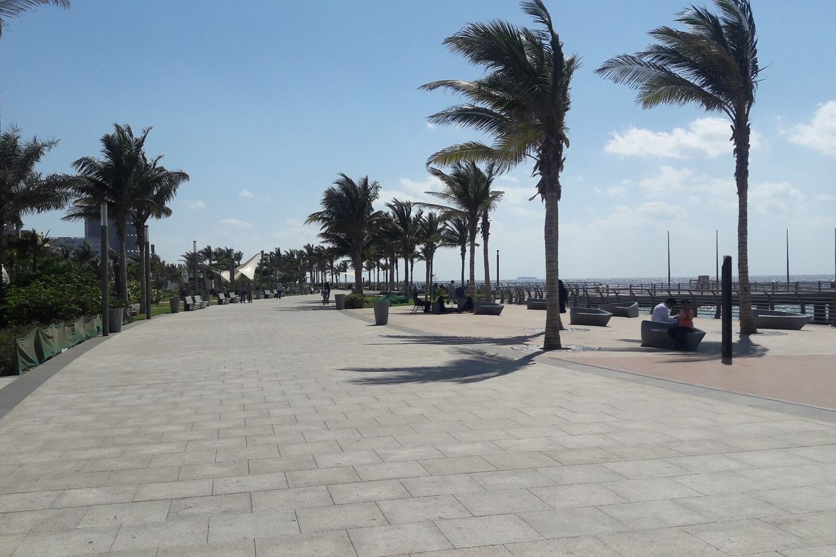 The Jeddah Corniche waterfront promenade on the Red Sea, lined with palm trees under a clear sky.